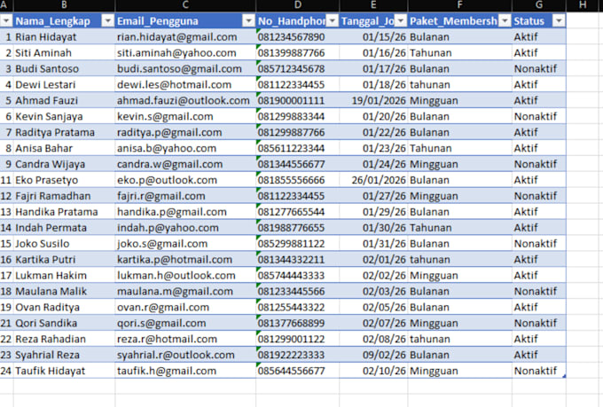 do data entry, data cleaning, data transformation, and data mining